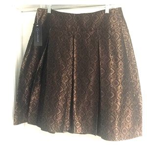 Dress Skirt with Pleats